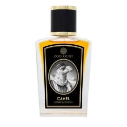 Camel