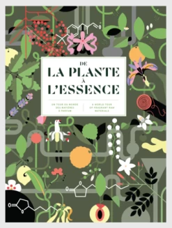 From Plant To Essence (Hardcover)