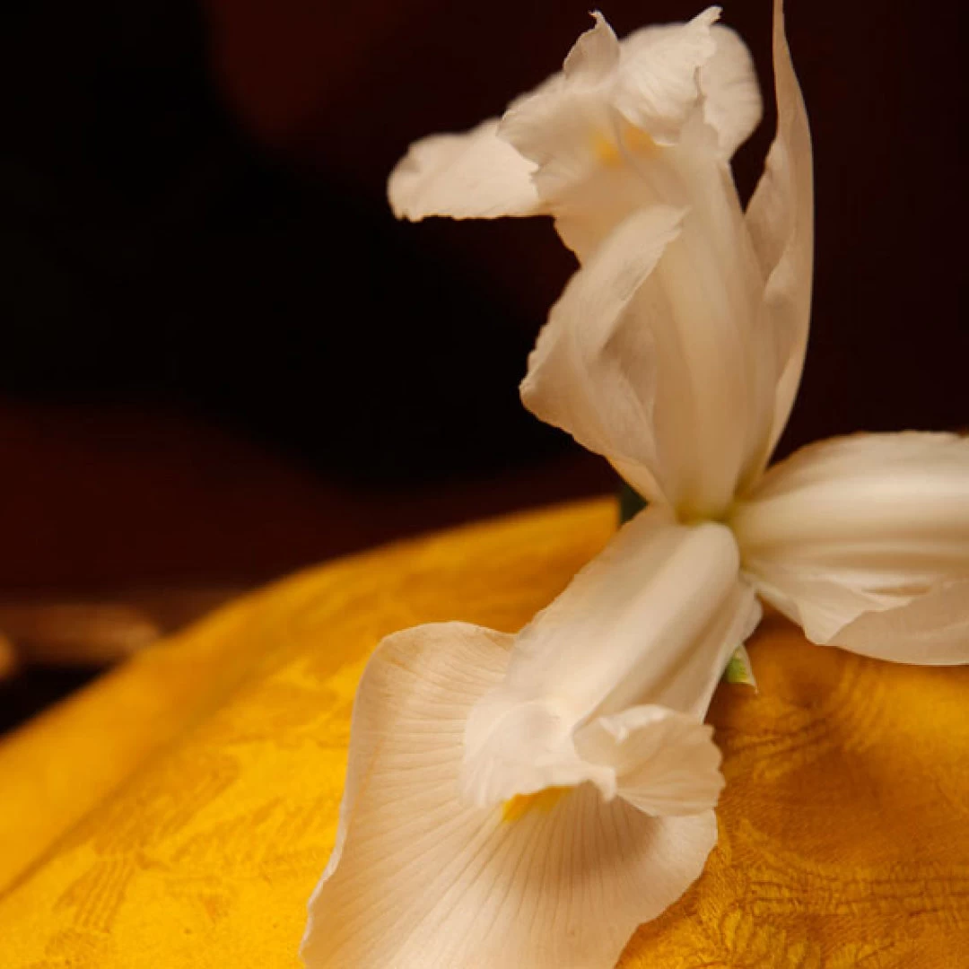 L'Or De Louis - Image 5