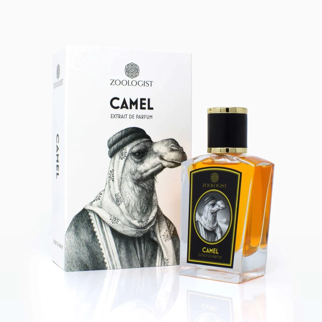 Camel - Image 2
