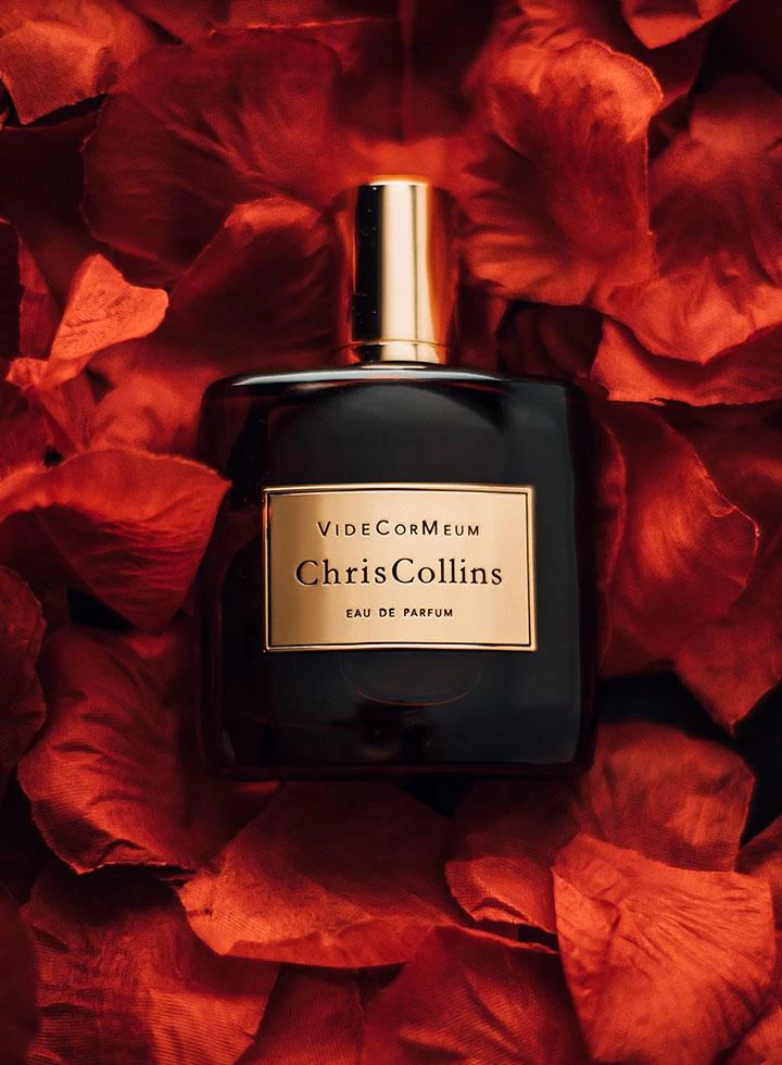 Vide Cor Meum - Image 3