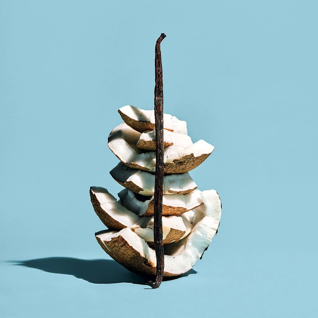 Dirty Coconut - Image 8