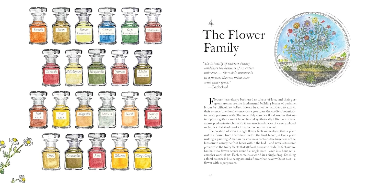 The Museum Of Scent (Hardcover) - Image 5