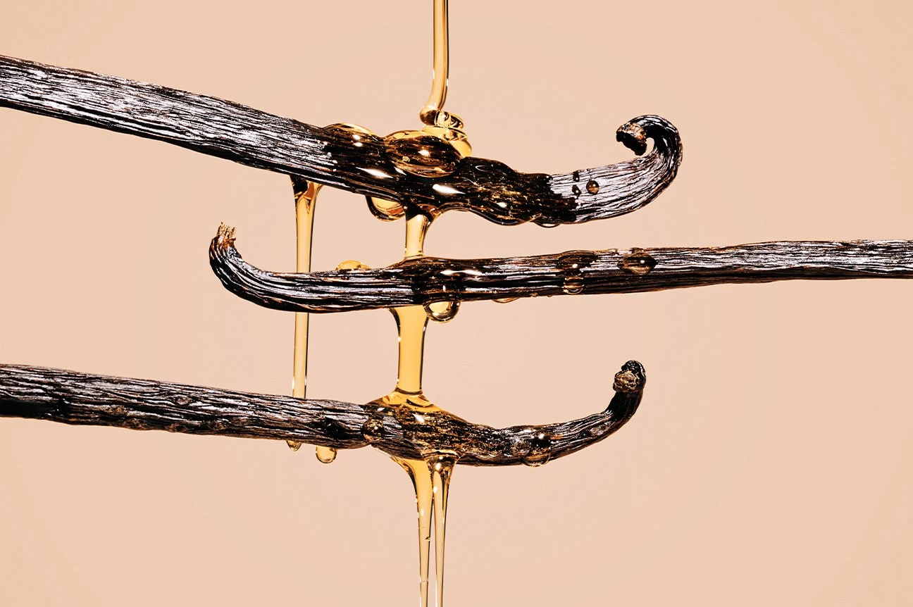 Dirty Vanilla - Image 7