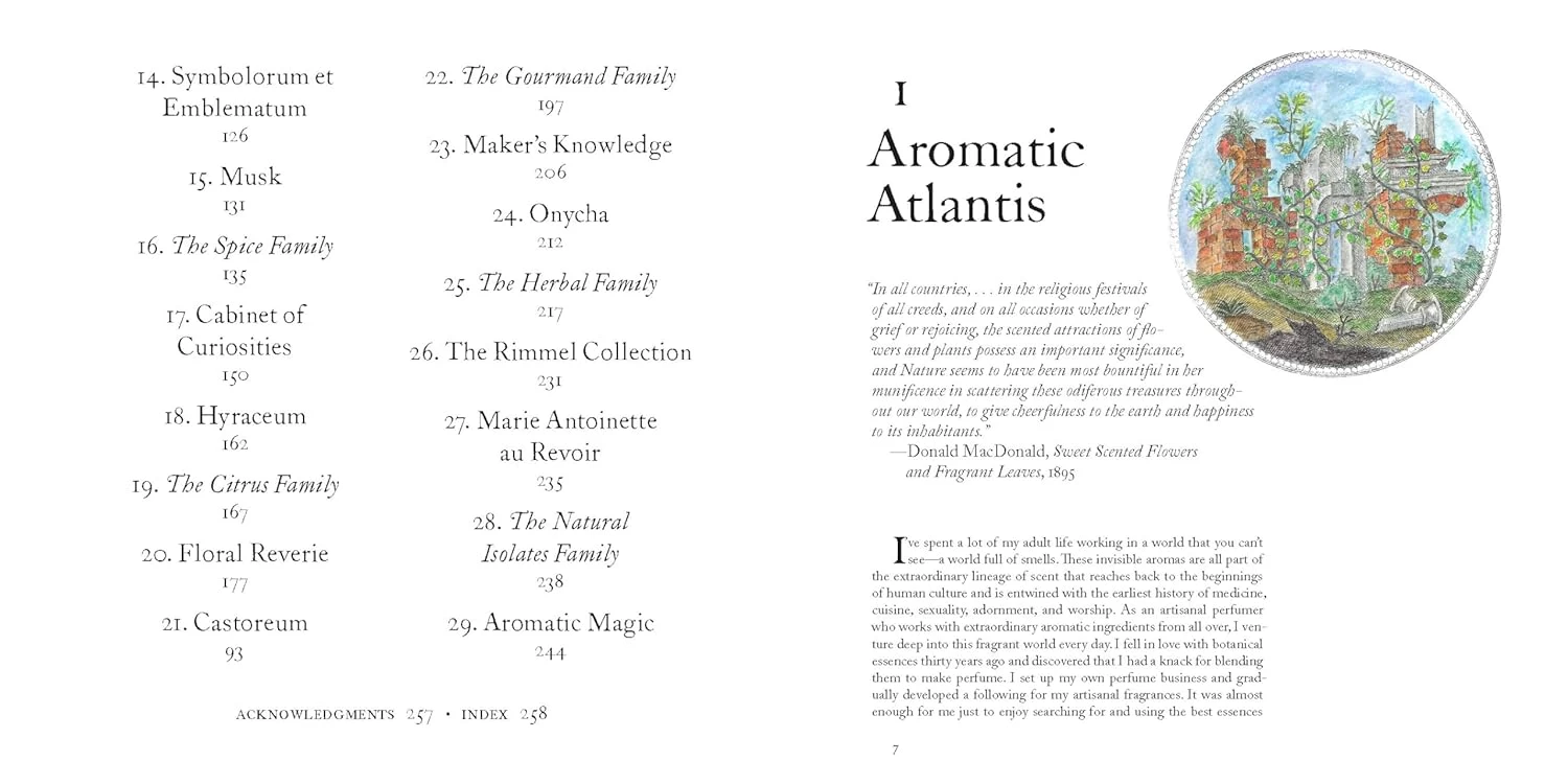 The Museum Of Scent (Hardcover) - Image 4