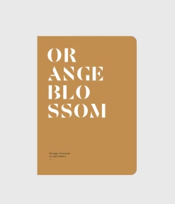 ORANGE BLOSSOM: Orange Blossom In Perfumery By Nez + LMR The Naturals Notebook