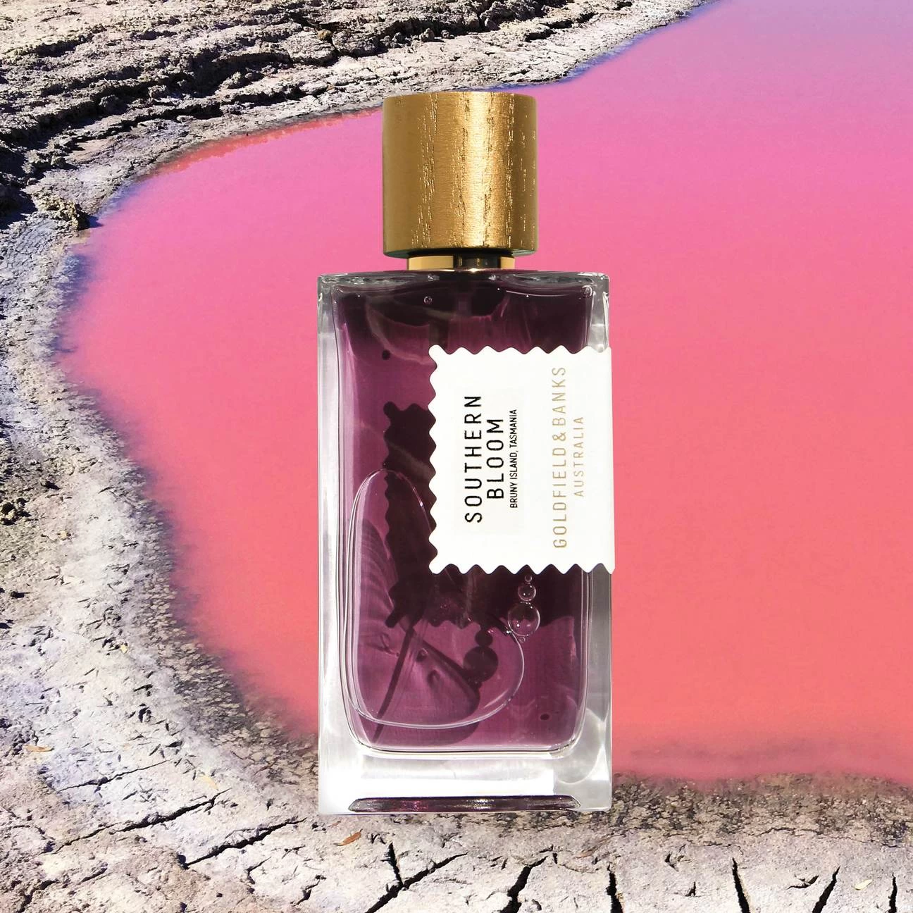 Southern Bloom - Image 6